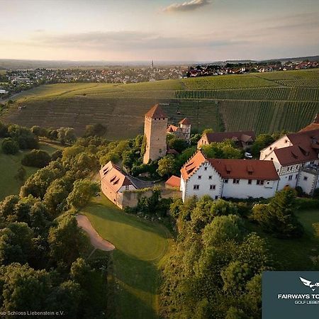 Neues Zimmerapartment Mit Bad Neckarwestheim Εξωτερικό φωτογραφία